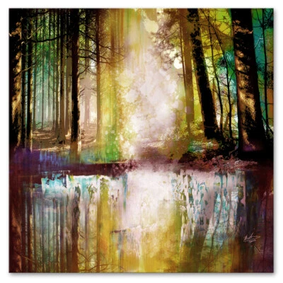 Leinwand Bilder Wald Bäume Landschaft Wandbild Wanddeko Wohnzimmer Modern 2994A - Bild 1 von 4
