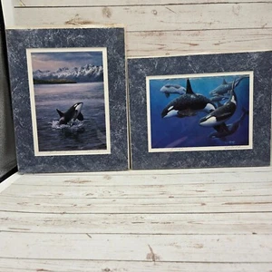 Artist Ed Newbold Signed Print 1987 Killer Whale~Orcas Limited 8x10” NOS Sealed - Picture 1 of 8
