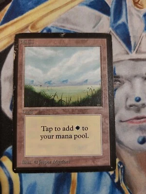 Plains MTG Limited Edition Beta Common Land Heavily Played x1 GG1 - Image 1 of 4