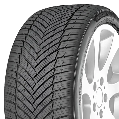 215/65 R17 99V Pneu 4 saisons IMPERIAL ALL SEASON DRIVER - Photo 1/4