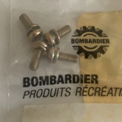 Ski-Doo 420841620 Tornillo con Cerradura Arandela Tundra Lote de 4 Foto 1 de 4