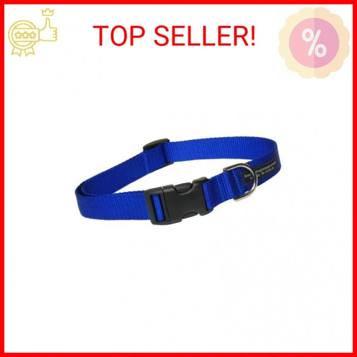 Small Blue Nylon Webbing Dog Collar: 5/8" Wide, Adjusts 10-14" - Made in USA. - Image 1 of 1