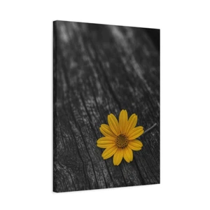 Gelbes Gänseblümchen auf Holz Leinwand Wandbild - Minimalistisches Blumenposter | Stimmungsvolle Natur - Bild 1 von 50