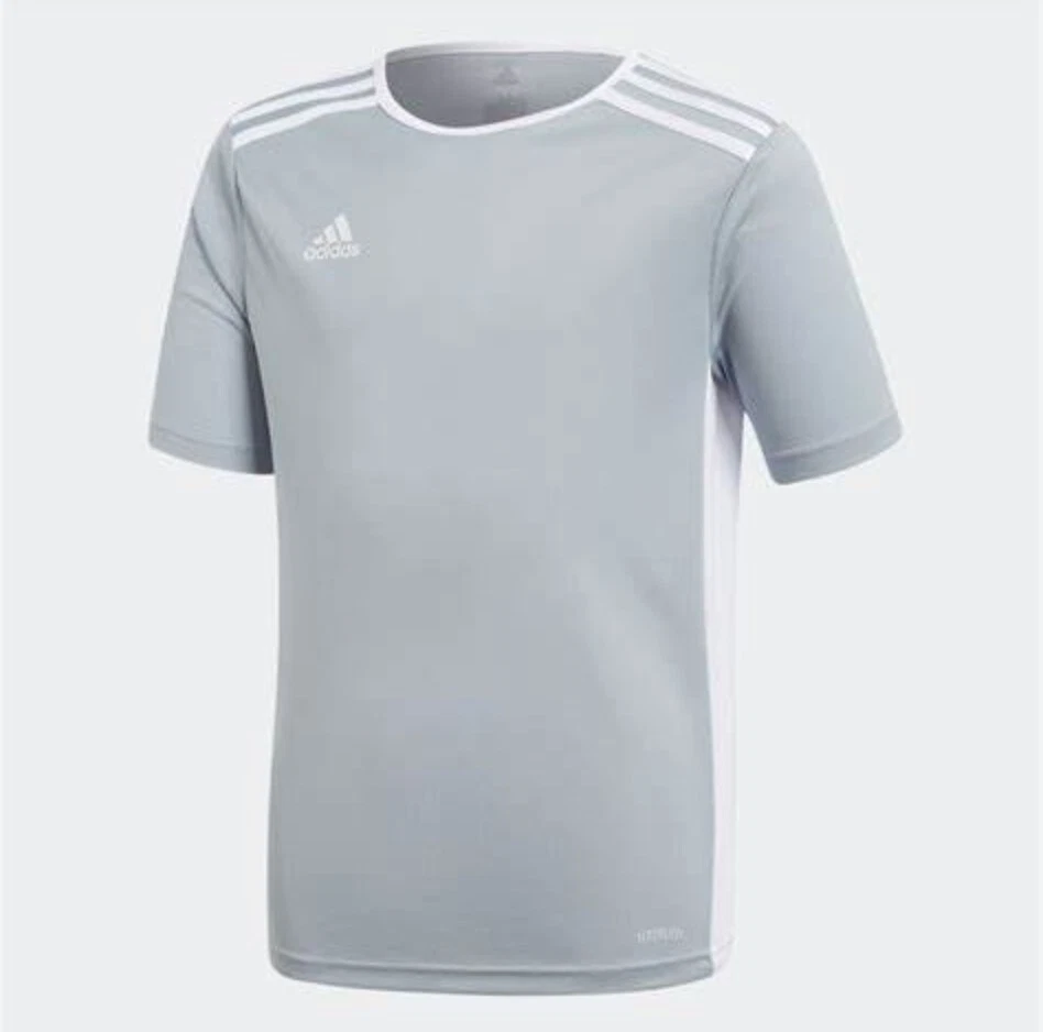 Adidas Entrada 18 Jersey Top (light grey) YOUTH - Image 1 of 1