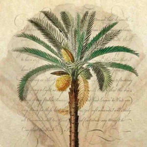Palm Tree Accent & Decor Tile Steve Hunziker Tropical Art OB-SH917AT - Picture 1 of 2