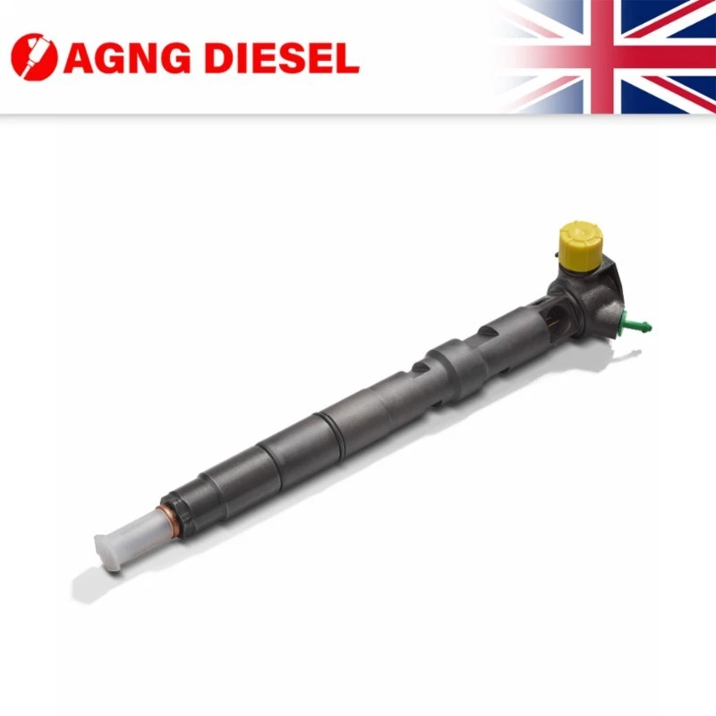 Delphi Fuel Injector R00301D For Ssangyong Rodius 2.0 XDI A6710170121 - Image 1 of 1