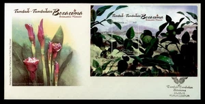 DR WHO 2012 MALAYSIA FDC AROMATIC PLANTS CACHET S/S RM5 M41238 - Picture 1 of 2