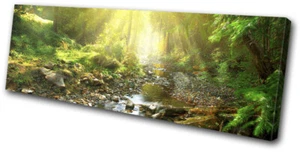 Waldland Flussstrom Waldlandschaften EINZELNE LEINWAND WANDKUNST Bilddruck - Bild 1 von 1