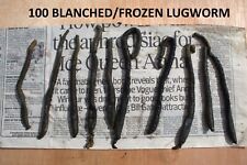 100 Blanched/Frozen Lugworm 10 Wraps