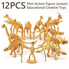 12Pcs Dinosaur Fossil Skeleton Assorted Dino Bones Skeleton Toy ?