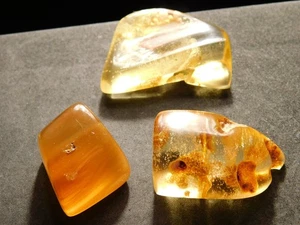 Lot of THREE Polished Fossil AMBER 100% Natural From Colombia 19.8gr - Picture 1 of 19