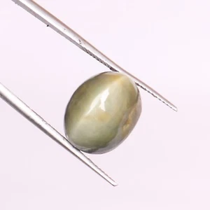 Certified Natural Tiger's Eye 7.05 Ct Oval Cabochon Beautiful Loose Gemstone - Picture 1 of 5