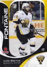 2007-08 Cape Breton Screaming Eagles #20 Dominic Fontaine