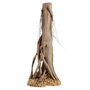 Treasures Mangrove Root - Large - Picture 1 of 1
