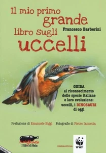 Mein großes Buch über Vögel von Francesco Barberini 2017 Alternativer Druck - Bild 1 von 1