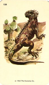 1968 Kindergarten Flash Card Iguana #120 Economy Co. Smash Book Scrapbook - Picture 1 of 1