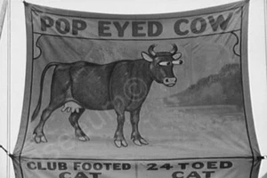 Vermont Sideshow Poster Pop Eyed Cow 1940 4x6 Fotografie Reprint - Bild 1 von 1