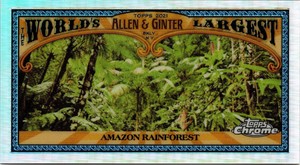 2021 Topps Allen & Ginter Chrome Mini World’s Largest AMAZON RAINFOREST #MWL-2