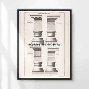 Säulen Säulen Klassische Architektur Illustration Kunstdruck Poster Bild XXL - Bild 1 von 4