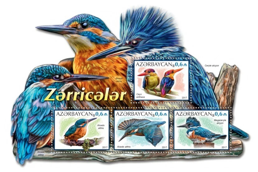 107. AZERBAIYÁN 2017 INUSUAL TROQUELADO FORMA EXTRAÑA SELLO S/S AVES, MARTÍN PESCADOR .MNH Foto 1 de 2