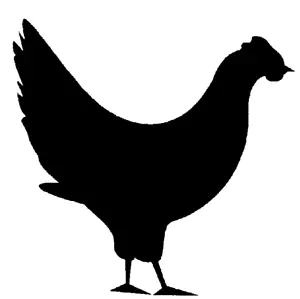 Chicken Vinyl Decal Sticker. Car, Window - Bild 1 von 2