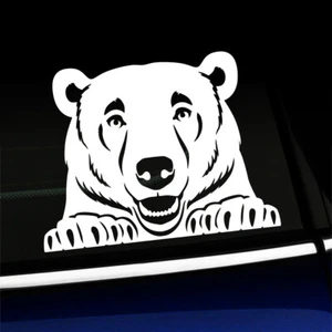 Peeking Bear Decal - You choose the color - Picture 1 of 26