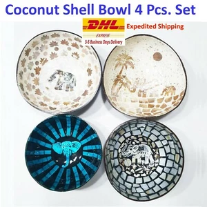 Gift set Collectible Coconut Shell Bowl Hand Painted Thai Elephant Handmade - Picture 1 of 12