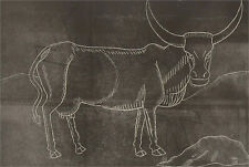 Eddie Bianchi (fl.1975-95) - Contemporary Linoprint, Angry Cow
