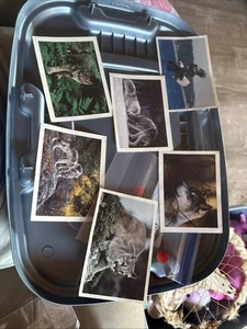 Lote de 6 postales vintage - Imagen 1 de 7