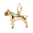 10K or 14K Gold Pitbull Dog Charm by Rembrandt