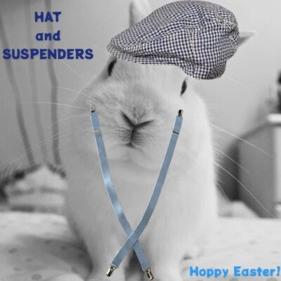 Nuevo gorro gorra plana sombrero tirantes niños pequeños lote azul guinga cuadros Pascua Foto 1 de 3