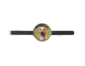 Barra deslizante corbata Whippet perro hombre ideal cumpleaños padre boda regalo C109 - Imagen 1 de 1