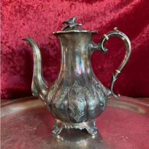 Sheffield Silver Plate Coffee Pot with Bone in Handle | 1850-1890 | Antique - Picture 1 of 8