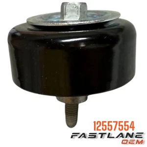 2006-2011 BUICK LUCERNE/CADILLAC DTS DRIVE BELT IDLER PULLEY NEW OEM 12557554 - Picture 1 of 8