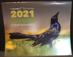 Cornell Lab of Ornithology 2021 Calendar - A Year with Birds - Picture 1 of 4