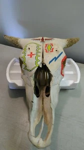Steer Skull 21 inches long x 16 inches wide  Handpainted Hieroglyphics/Southwest - Picture 1 of 11