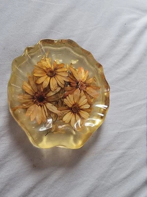 Jabonera retro de resina acrílica Lucite de colección flores margaritas secas MCM con forma de concha  Foto 1 de 4