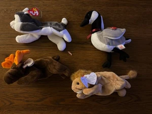 TY  lot of 4 beanie babies. Great condition. NWT Loosy, Roary, Nanook, Moose - Picture 1 of 12