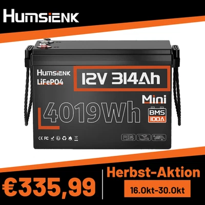 Batería HumsiENK 12V 300Ah 4190Wh LiFePO4 Batería Litio BMS Low-Temp Autocaravana