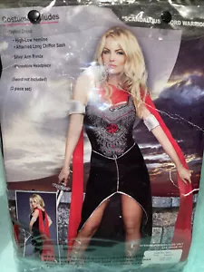 DREAMGIRL SCANDALOUS SWORD WARRIOR HALLOWEEN COSTUME Women MEDIUM - Picture 1 of 8