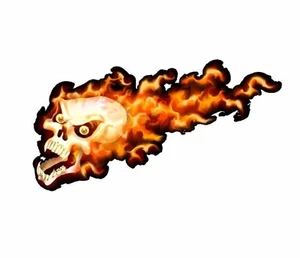 Flaming skull go kart race car vinyl graphic decal half wrap - Picture 1 of 1