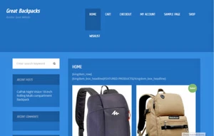School Bags Affiliate Website Free Installation+Hosting - Picture 1 of 1