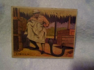 1938 FRANK BUCK Caging A King Cobra #6 TRADING CARD,Non-Sport,snake,jungle - Picture 1 of 2