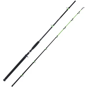 2PCS Catfish Casting Rod Green Portable Travel Boat Fishing Rod Medium Catfis... - Picture 1 of 7