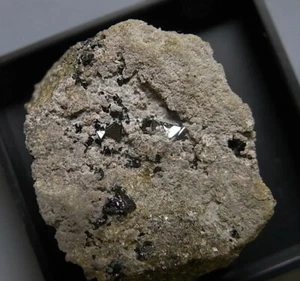 PLEONASTE (PLE1) mineral de Trento, Italia (en caja de acrílico transparente) - Imagen 1 de 8