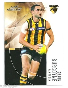 2012 Eternity (115) Shaun BURGOYNE Hawthorn - Picture 1 of 1