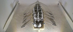 28mm Napoleonic British Naval Landing Boat - Picture 1 of 4