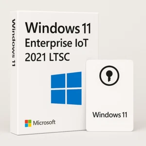 Windows 11 Enterprise IoT 2021 LTSC - Licencia minorista | Tarjeta clave de licencia - No USB - Imagen 1 de 6