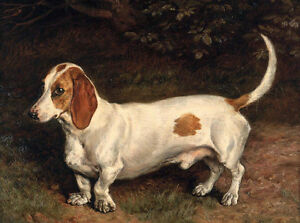 Hand painted Oil painting fat animals dogs Dachshund in landscape handpainted