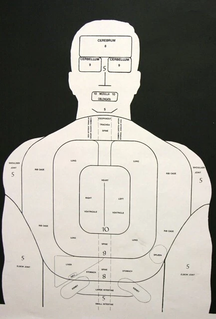(50) Range Targets - Vital Organs Silhouette, 20" x 30" Foto 1 de 1